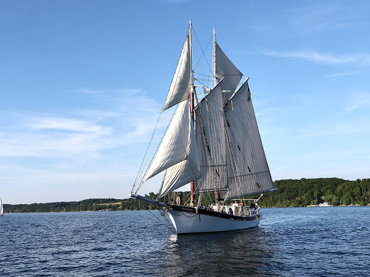 Sample Blue Dream TC-20