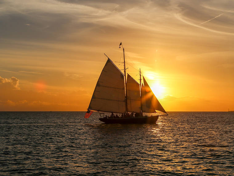 Sample Blue Moon YC-300